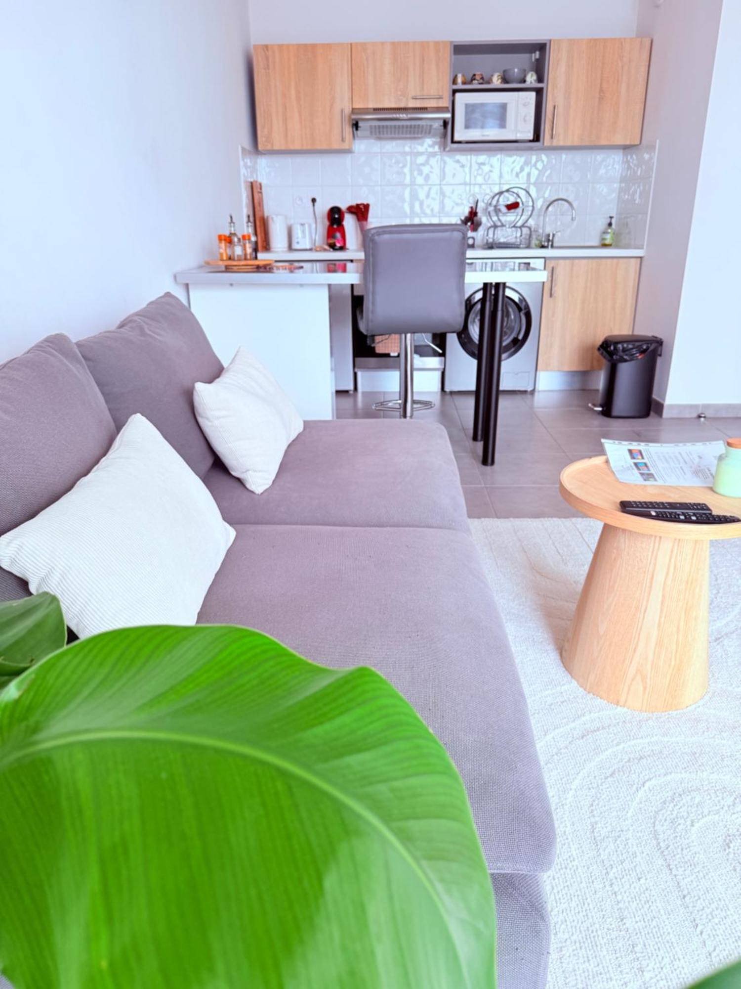 Appartement L'occitan T2 A 10 Minutes Du Coeur De Parking Prive Et Metro